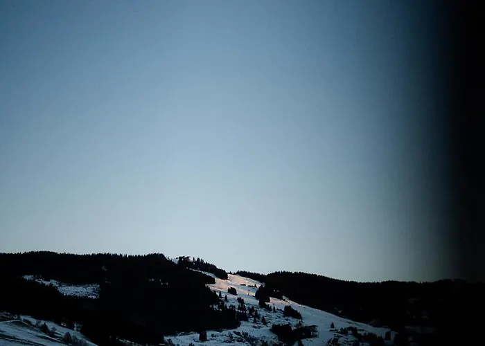 아파트호텔 Lh Linzerhaus Suites Saalbach - Inklusive Jokercard