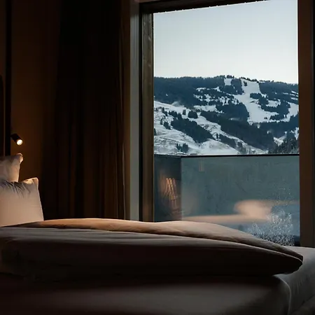 Lägenhetshotell Lh Linzerhaus - Inklusive Jokercard 4*